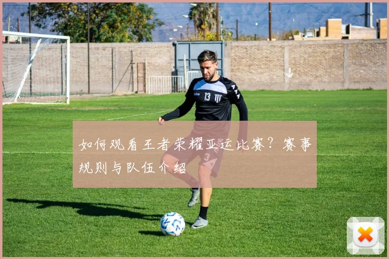 如何观看王者荣耀亚运比赛？赛事规则与队伍介绍