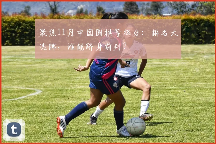 聚焦11月中国围棋等级分：排名大洗牌，谁能跻身前列？